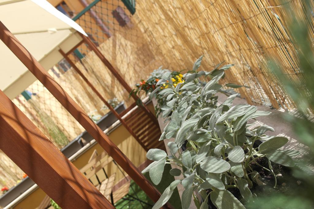 Candia Green House B&B Roma Dış mekan fotoğraf